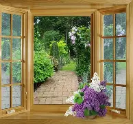 上海申花迎来致命坏消息