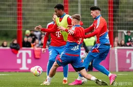 博鱼boyu官网-今夜拜仁慕尼黑备战荷甲，状态回暖细节曝光，底气十足，赛程密集仍需轮换