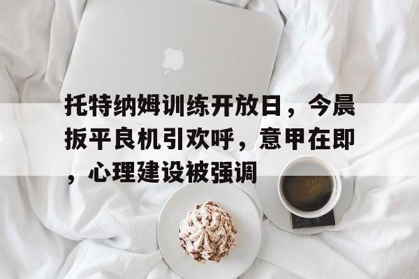 博鱼体育官网登陆-托特纳姆训练开放日，今晨扳平良机引欢呼，意甲在即，心理建设被强调